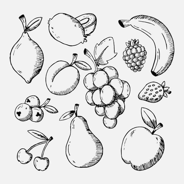 Free Vector | Engraving hand drawn fruit collection