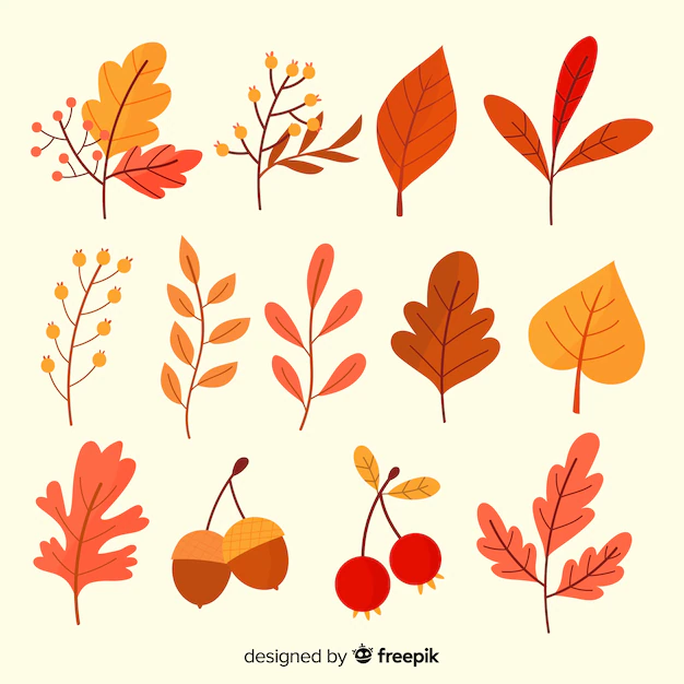 Free Vector | Hand drawn autumn leaves collection