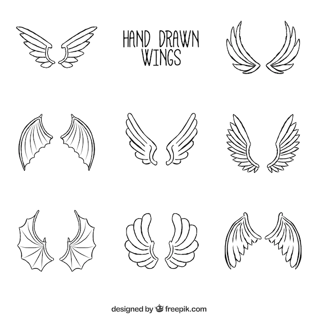 Free Vector | Collection of hand-drawn wings
