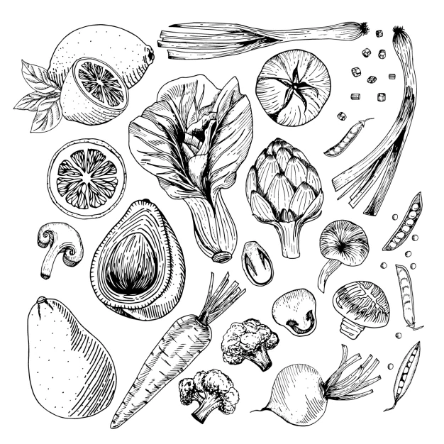 Free Vector | Vegetables designs collection