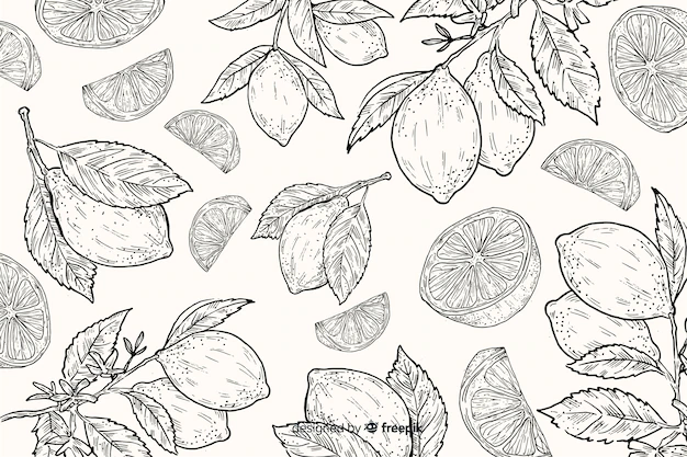 Free Vector | Hand drawn natural food background