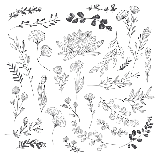 Free Vector | Hand drawn wedding ornaments