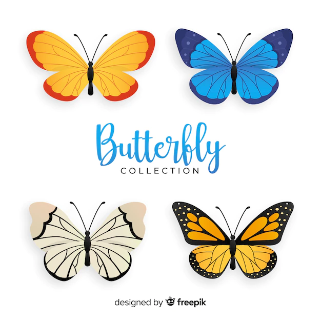 Free Vector | Butterfly collection