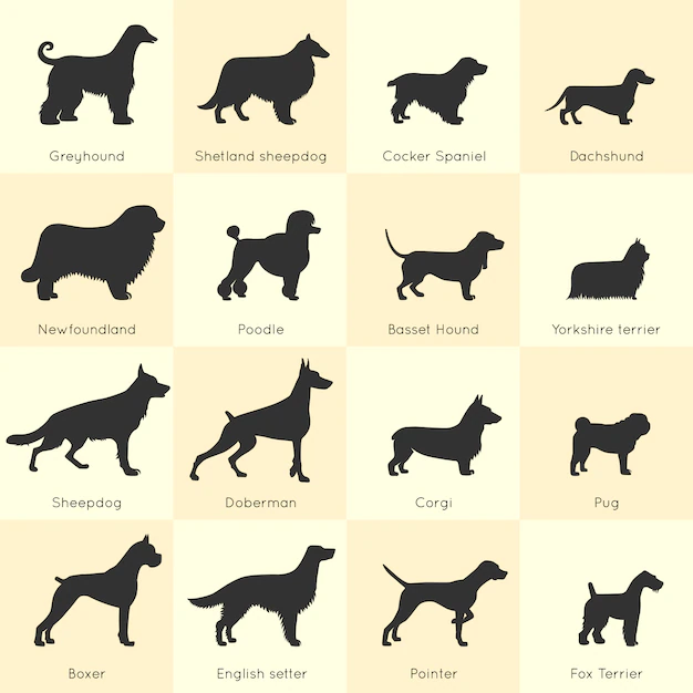 Free Vector | Dogs breed set