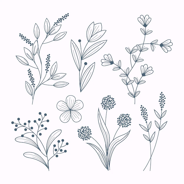 Free Vector | Hand drawn flower collection