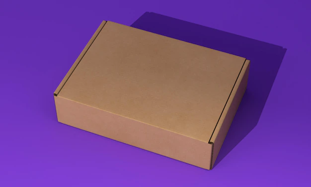 Free PSD | Packaging box concept mock-up