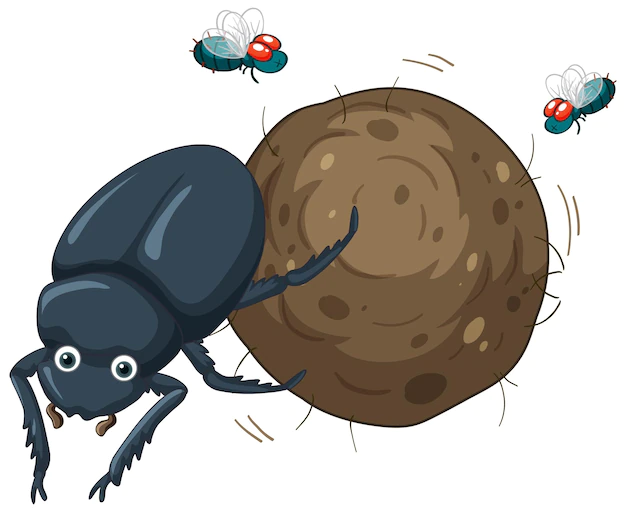 Free Vector | A dung beetle cartoon character