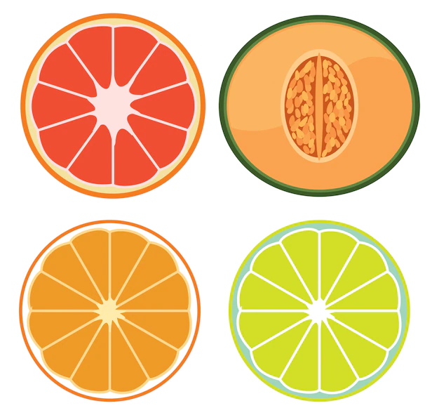 Free Vector | A set of sliced fruits
