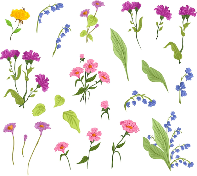 Free Vector | A vector of many beautiful wild flower