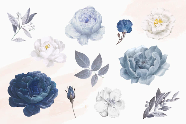Free Vector | Beautiful blue rose objects
