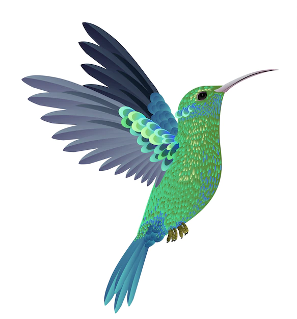 Free Vector | Beautiful flying hummingbird. design element. for banners, posters, leaflets and brochures