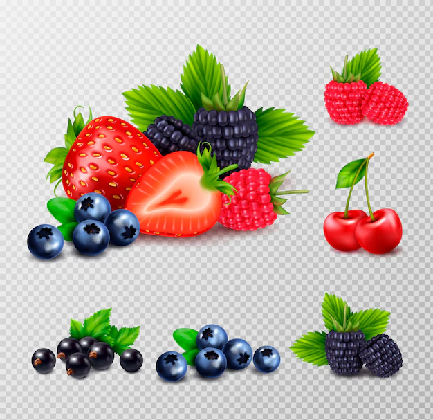 Free Vector | Berry fruit realistic set with clusters of ripe berries and green leaves images on transparent background