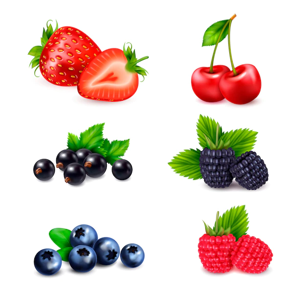Free Vector | Berry fruit realistic set with isolated colourful images of berries sorted by different species with shadows