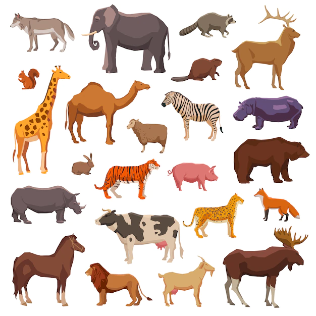 Free Vector | Big animals set