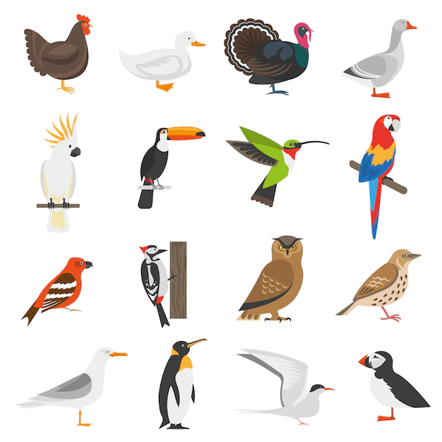 Free Vector | Bird flat color icons set