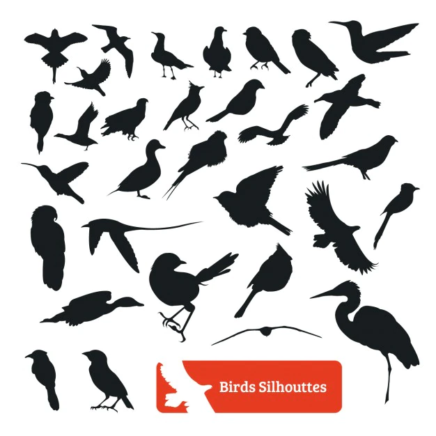 Free Vector | Bird silhouette collection