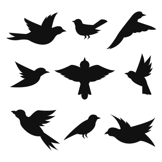 Free Vector | Birds silhouettes collection