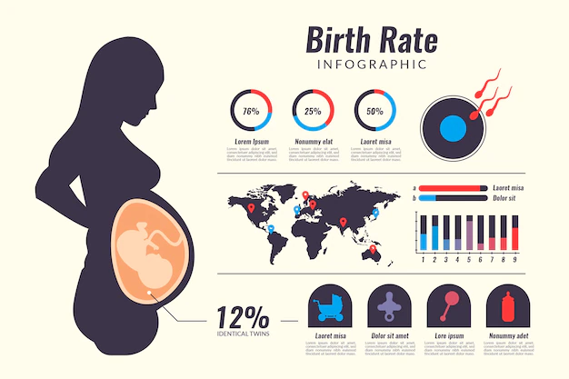 Free Vector | Birth rate infographic