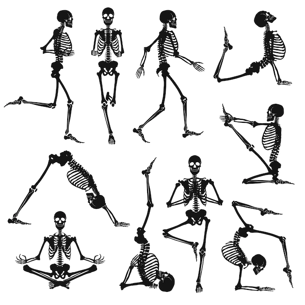 Free Vector | Black human skeletons
