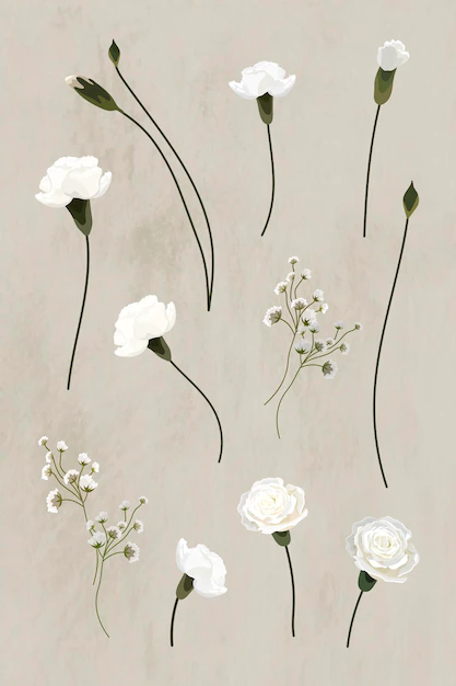 Free Vector | Blooming white carnation design element collection vector