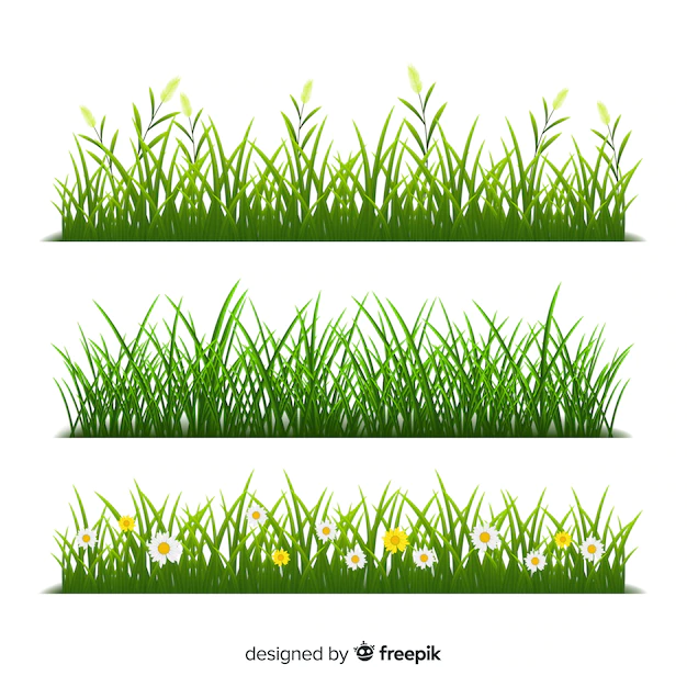 Free Vector | Border of grass realistic style