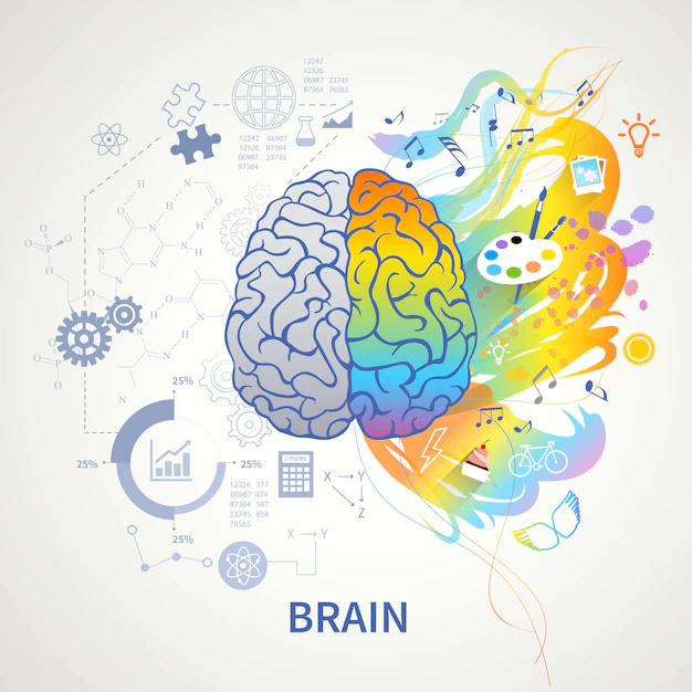 Free Vector | Brain functions concept infographic symbolic depiction with left side logic science mathematics right arts creativity