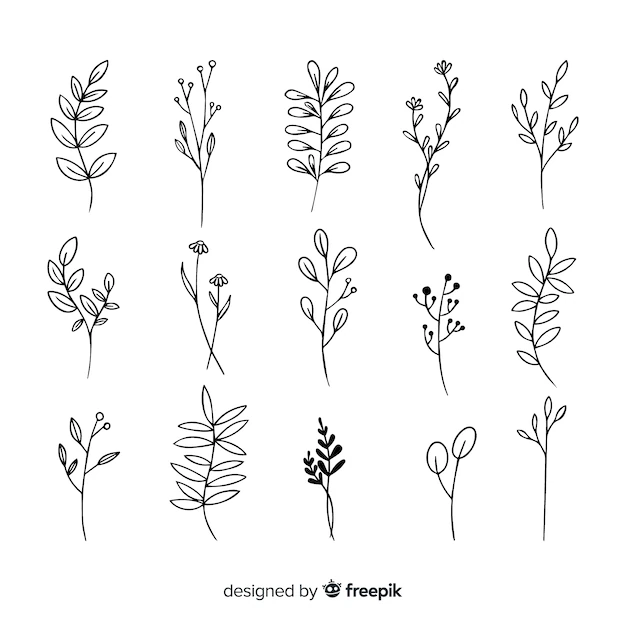 Free Vector | Branch with leaves ornamental draw