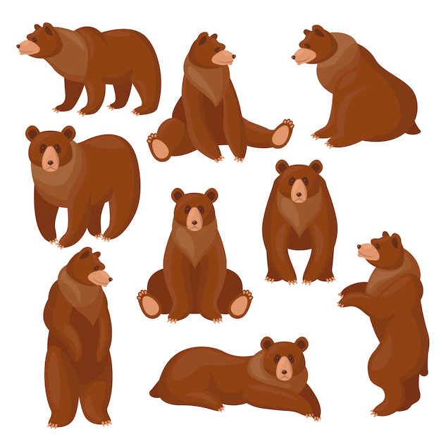 Free Vector | Brown bears set
