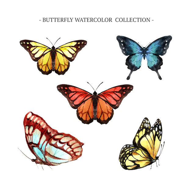 Free Vector | Butterfly collection with watercolor
