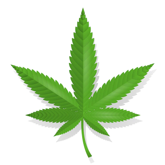 Free Vector | Cannabis leaf icon