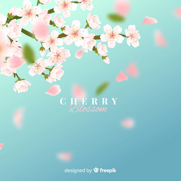Free Vector | Cherry blossom background