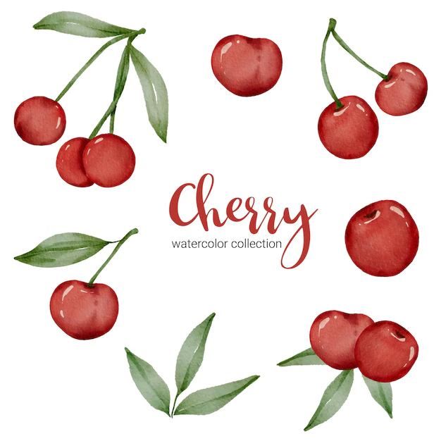 Free Vector | Cherry in watercolor collection with fruit and leaf with branch