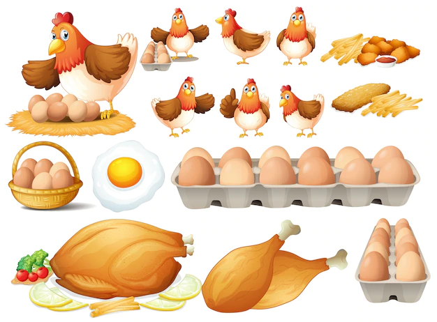 Free Vector | Chicken and different types of chicken products