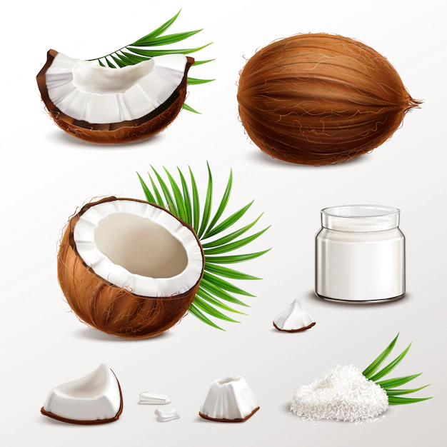Free Vector | Coconut realistic set with nut segments  flesh pieces jar milk powder dry flakes palm leaves  illustration