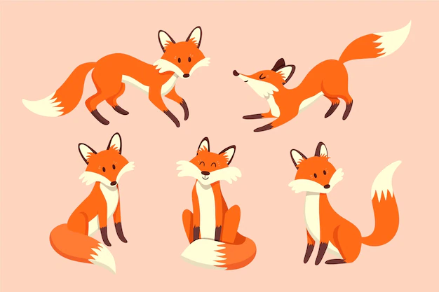 Free Vector | Collection of cute drawn foxes