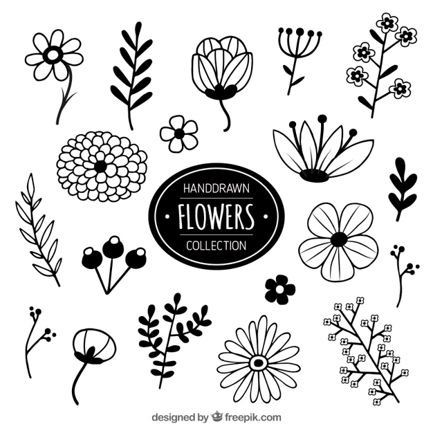 Free Vector | Collection of hand drawn flowers