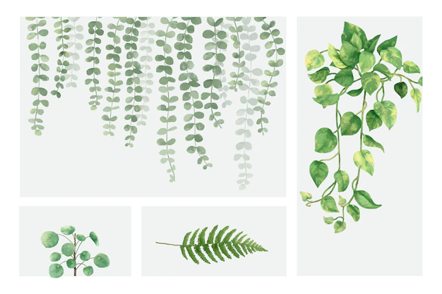 Free Vector | Collection of hand drawn plants isolated on white background