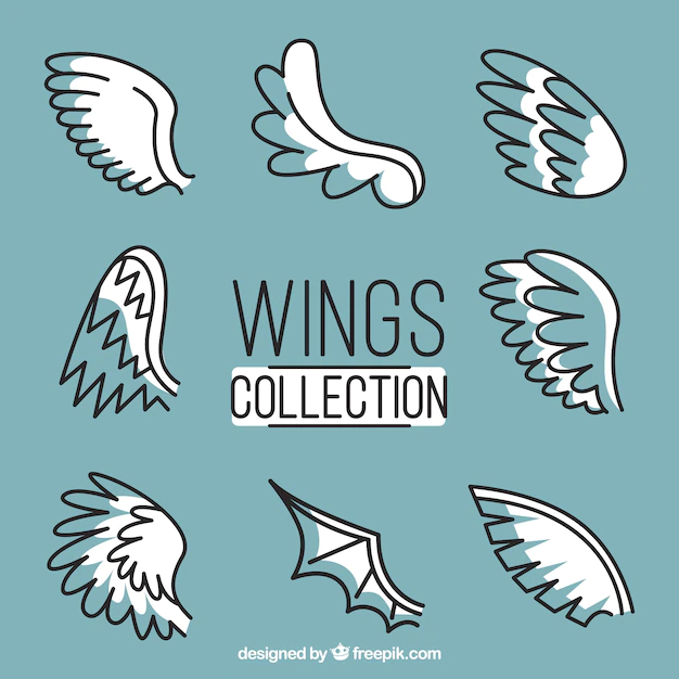 Free Vector | Collection of hand-drawn wings