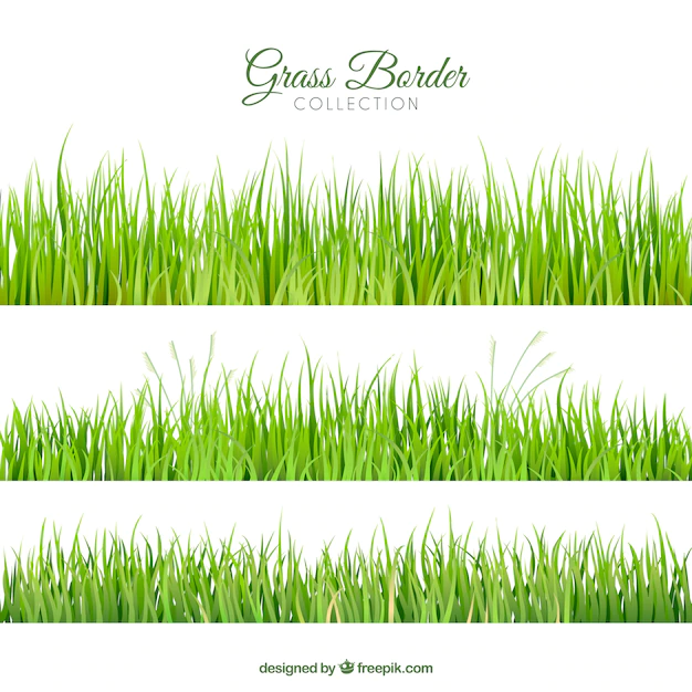 Free Vector | Collection of three realistic grass borders