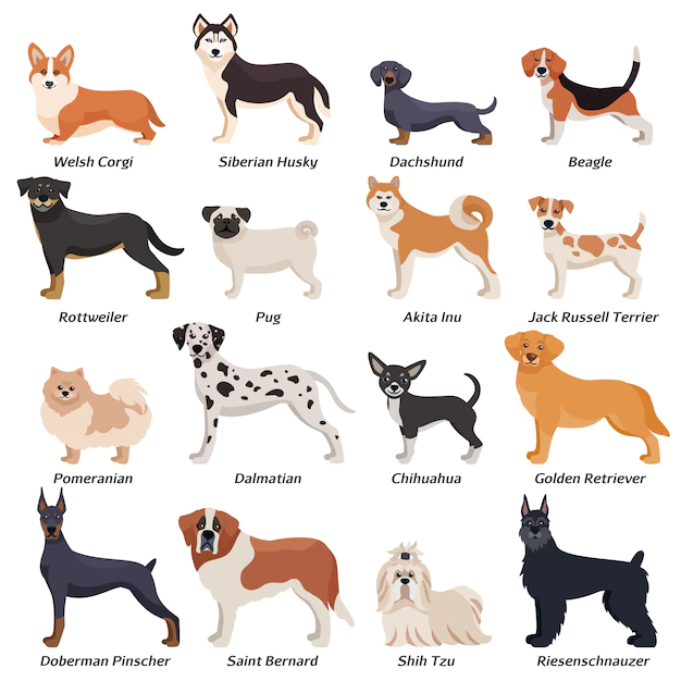 Free Vector | Colored purebred dogs icon set