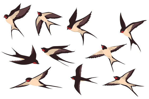 Free Vector | Colorful flying swallows flat illustration set.