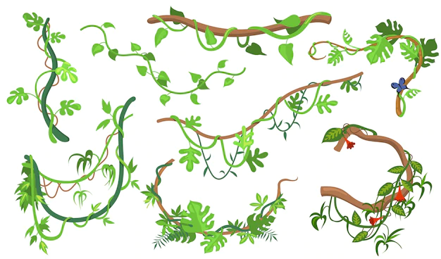 Free Vector | Colorful liana or jungle plant flat set for web design. cartoon climbing twigs of tropical vines and trees isolated vector illustration collection. rainforest, greenery and vegetation concept
