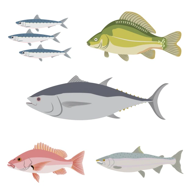 Free Vector | Coloured fishes collection