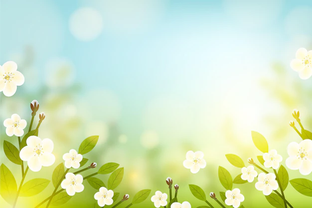 Free Vector | Copy space spring floral background and blue sky