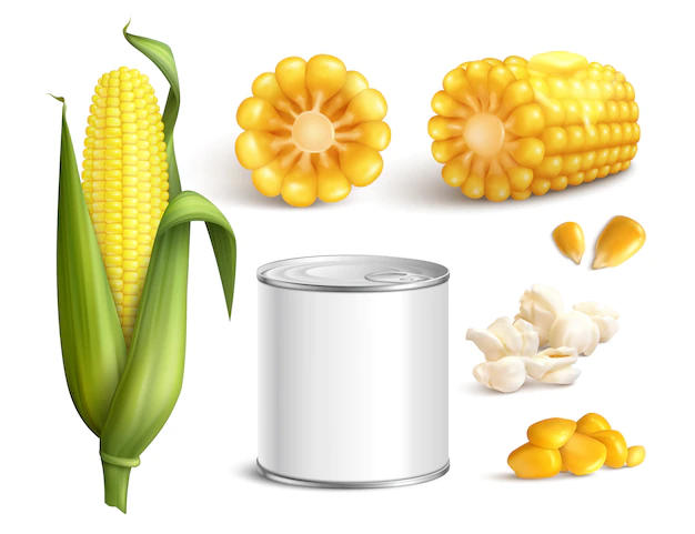 Free Vector | Corn realistic set