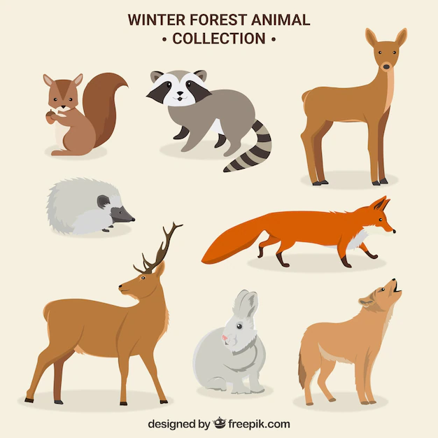 Free Vector | Cute winter forest animals set