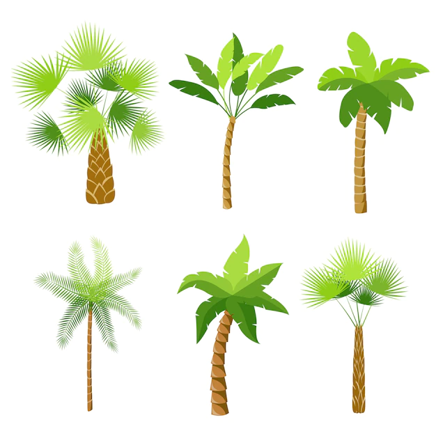 Free Vector | Decorative palm trees icons set isolated vector illustration