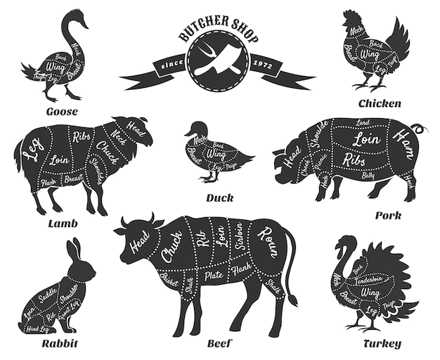 Free Vector | Diagrams for butcher shop set