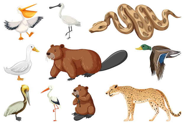 Free Vector | Different kinds of animals collection