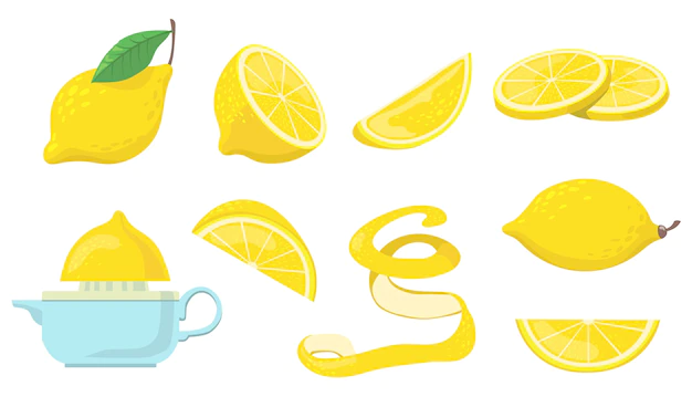 Free Vector | Different lemon pieces flat item set.
